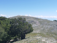 Finalmente vediamo la cima